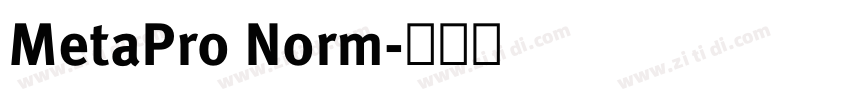 MetaPro Norm字体转换